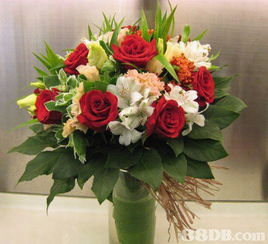 富林花園 您一站式花卉服務(wù)專(zhuān)家